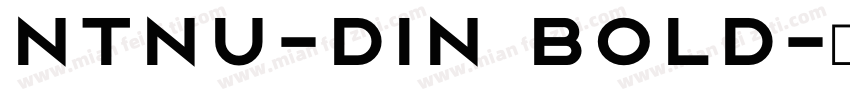 NTNU-DIN Bold字体转换